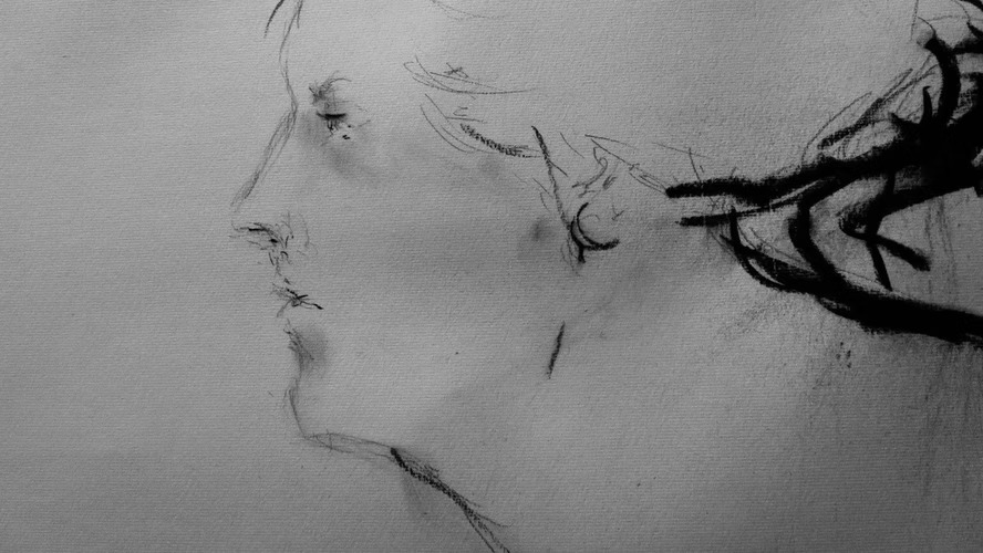 imgi_146_a86f92_113bc7aab1c74d92864b408a42522129~mv2