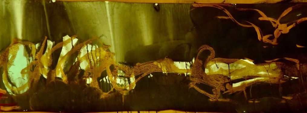 imgi_177_a86f92_fdbe910568dc41538b91d7356296e3cf~mv2